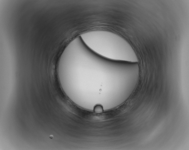 X0000113090263200908281013