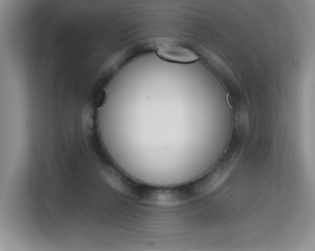 X0000113090264200908281013