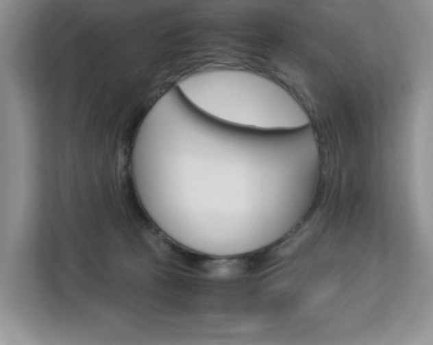 X0000113090273200908281013