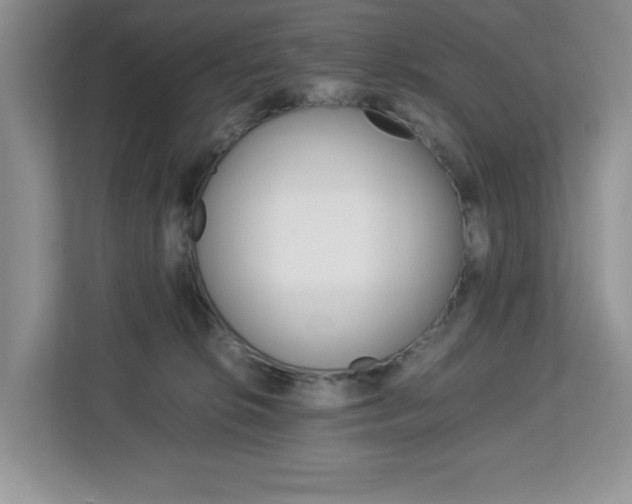 X0000113090276200908281013