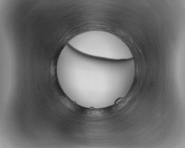 X0000113090282200908281013