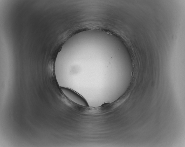 X0000113090288200908281013