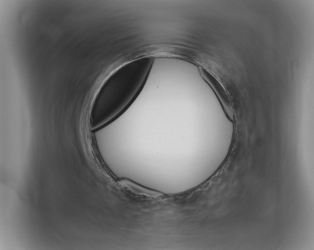 X0000113090289200908281013