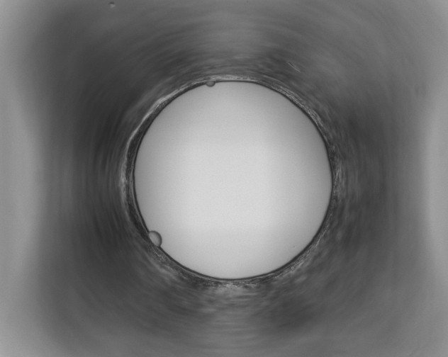 X0000113090290200908281013