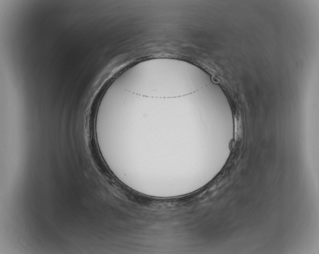 X0000113090291200908281013