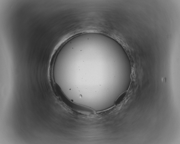 X0000113090292200908281013