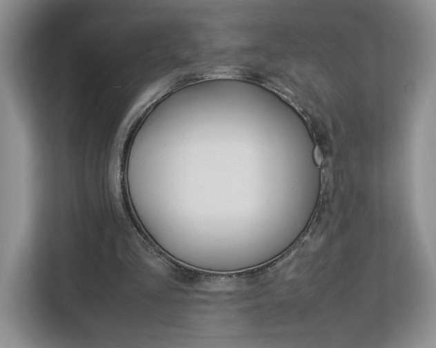 X0000113090293200908281013
