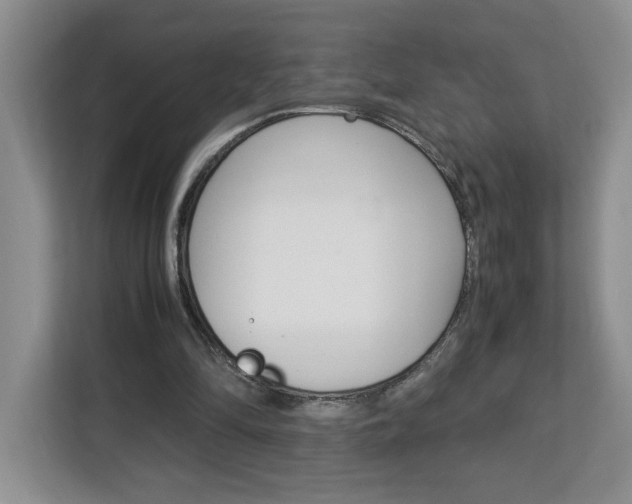 X0000113090294200908281013