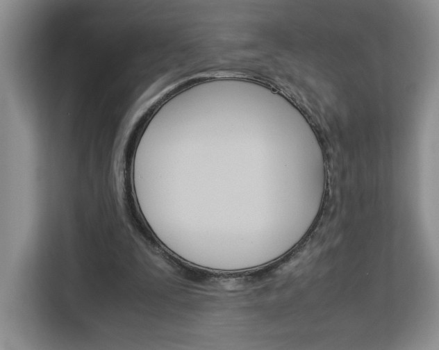 X0000113090295200908281013