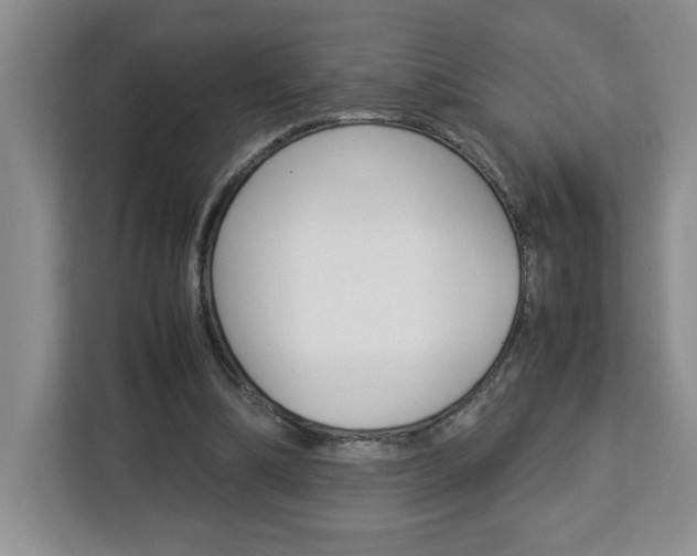X0000113090298200908281013