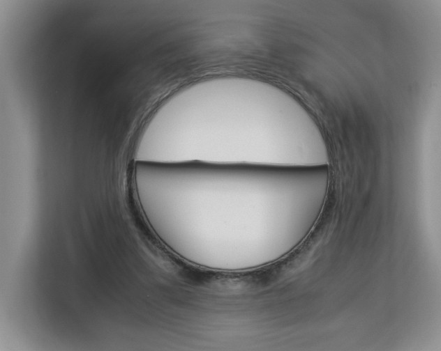 X0000113090299200908281013