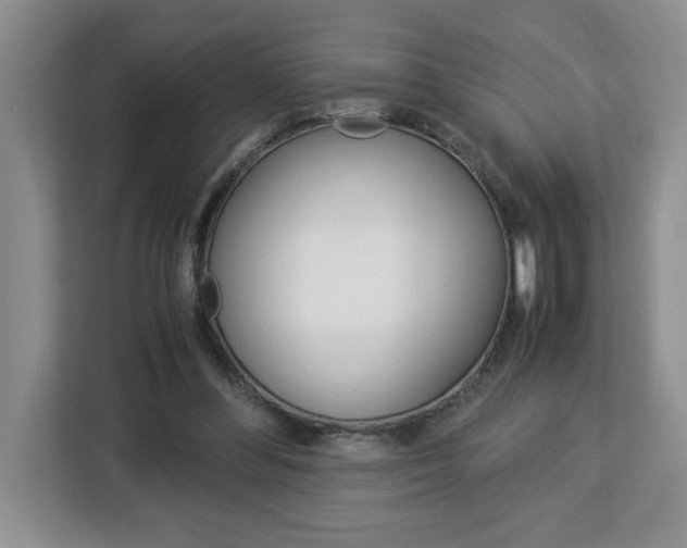 X0000113090300200908281013