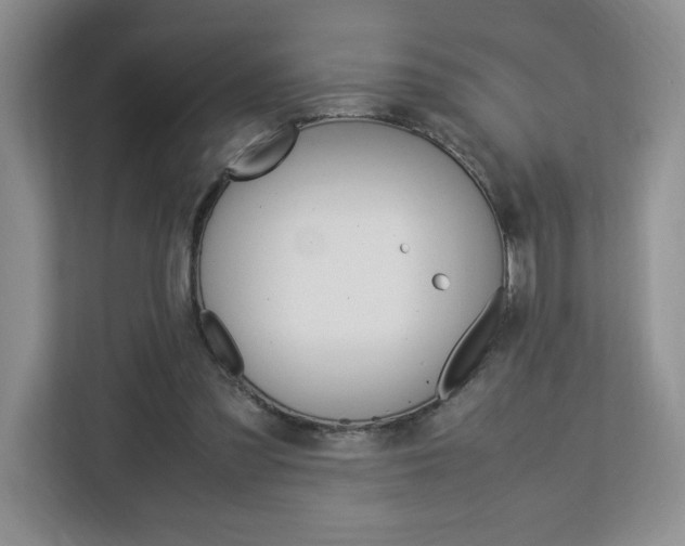 X0000113090301200908281013