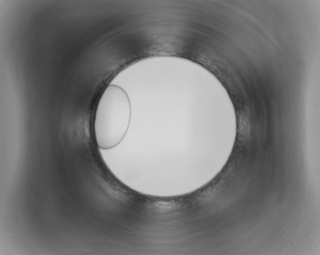 X0000113090302200908281013