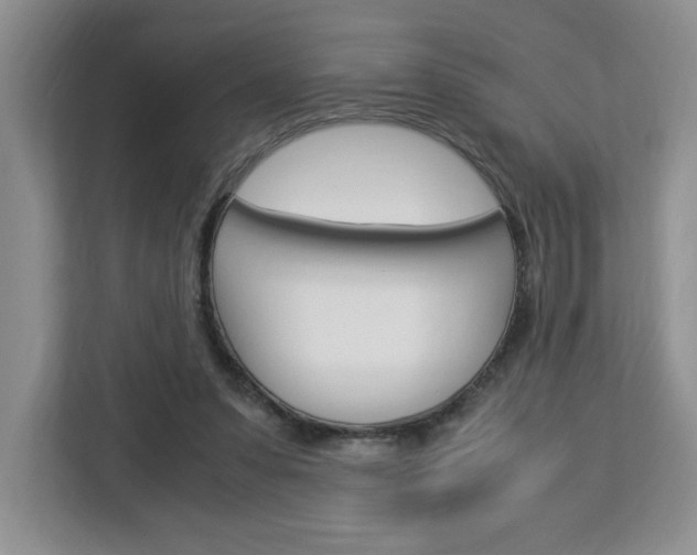 X0000113090303200908281013