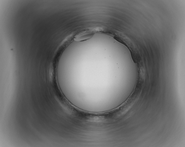 X0000113090304200908281013