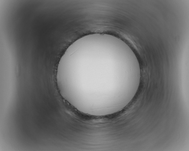 X0000113090307200908281013