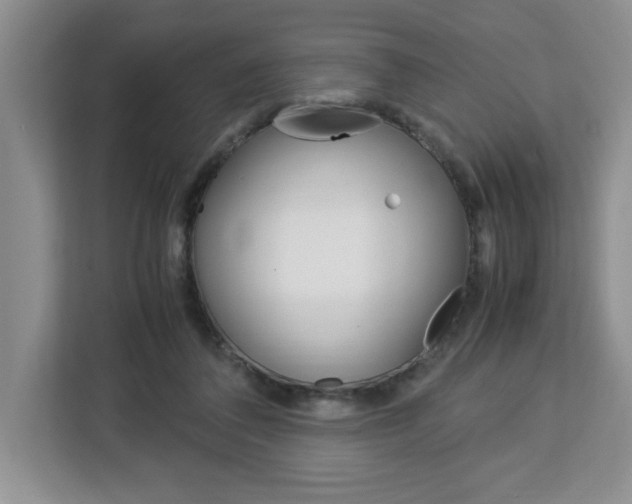 X0000113090308200908281012