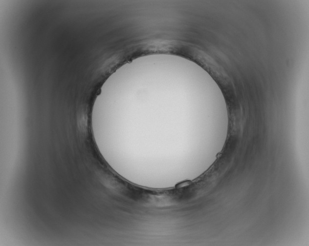 X0000113090309200908281012