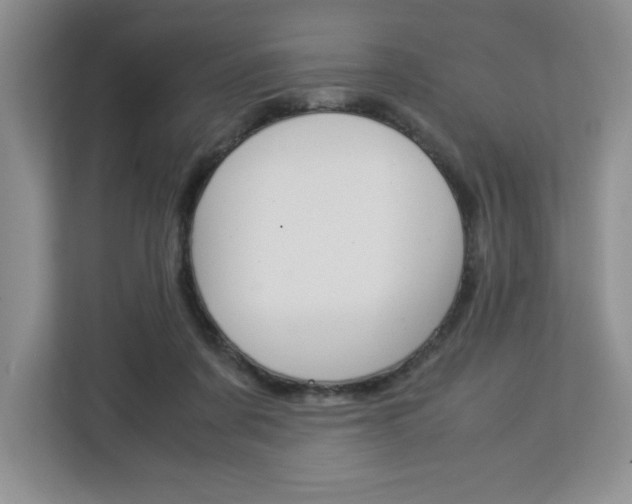 X0000113090311200908281012