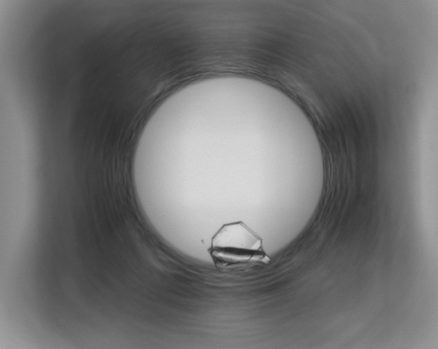 X0000113090312200908281012