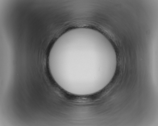 X0000113090315200908281012