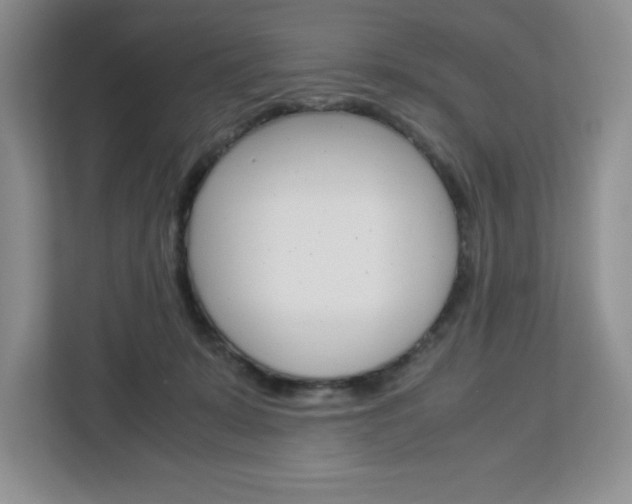 X0000113090319200908281012