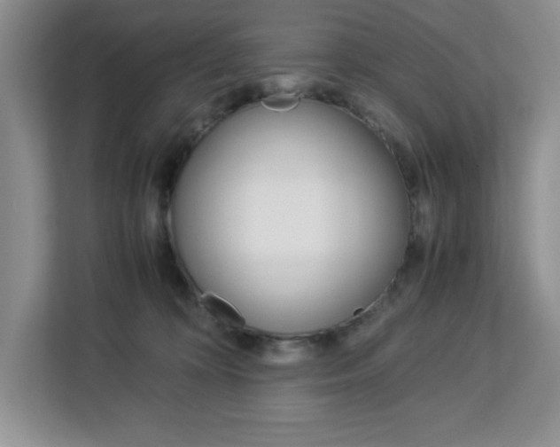 X0000113090324200908281012