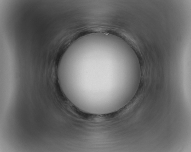 X0000113090325200908281012