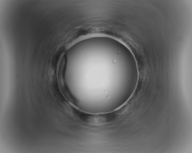X0000113090327200908281012