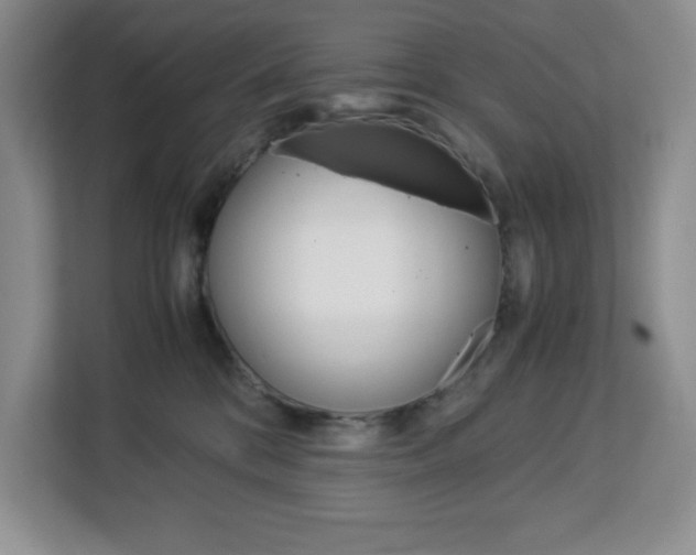 X0000113090328200908281012