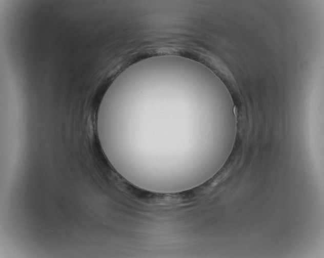 X0000113090329200908281012