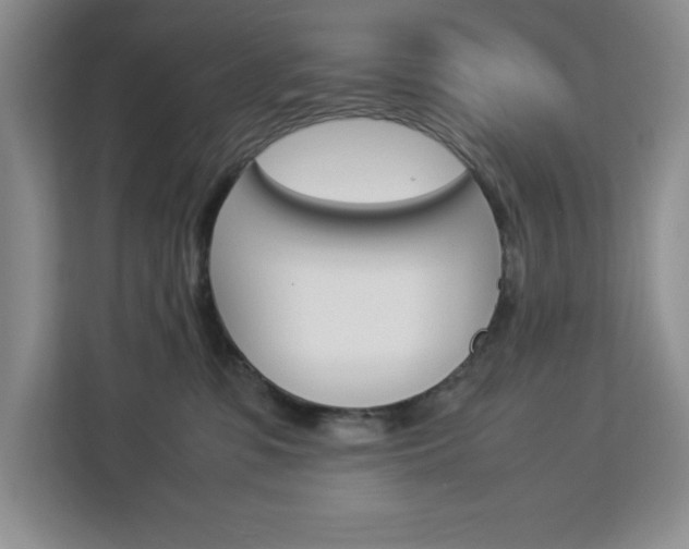 X0000113090331200908281012