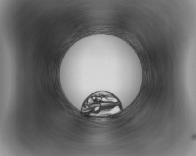 X0000113090332200908281012