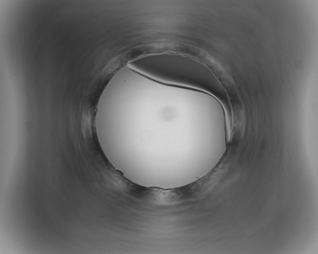 X0000113090333200908281012
