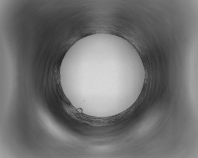 X0000113090334200908281012