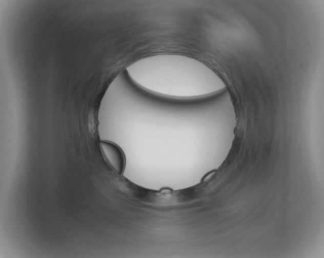 X0000113090335200908281012