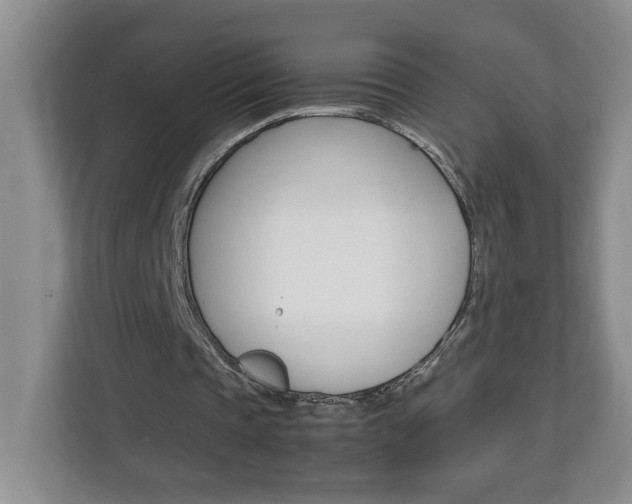 X0000113090337200908281012