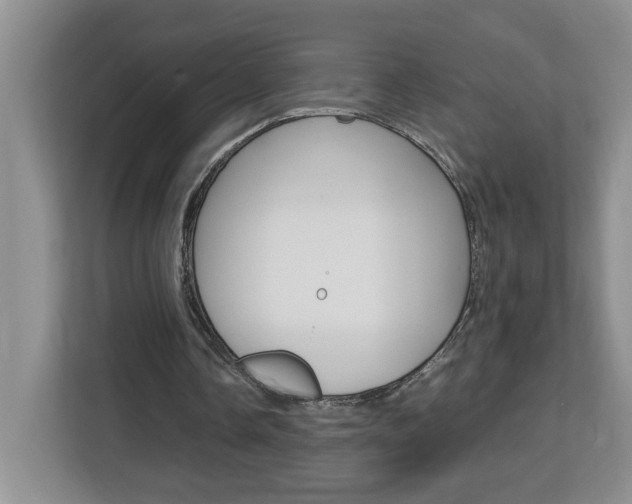 X0000113090338200908281012