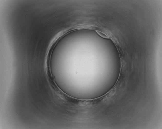 X0000113090340200908281012