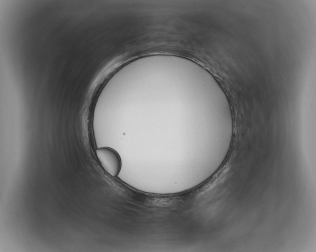 X0000113090341200908281012
