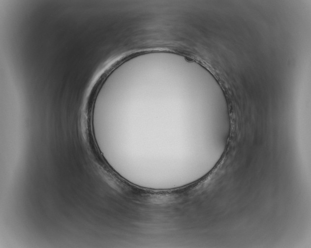 X0000113090342200908281012