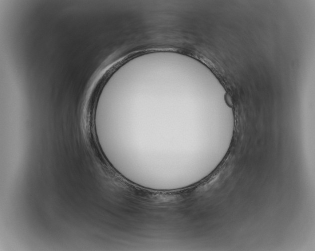 X0000113090343200908281012