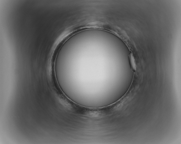 X0000113090344200908281012
