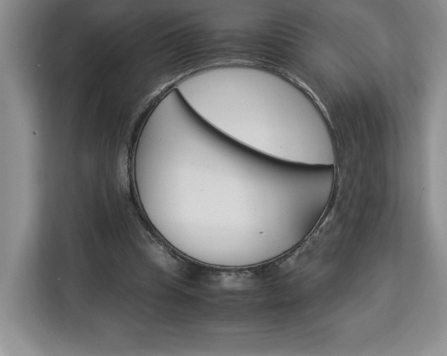 X0000113090345200908281012