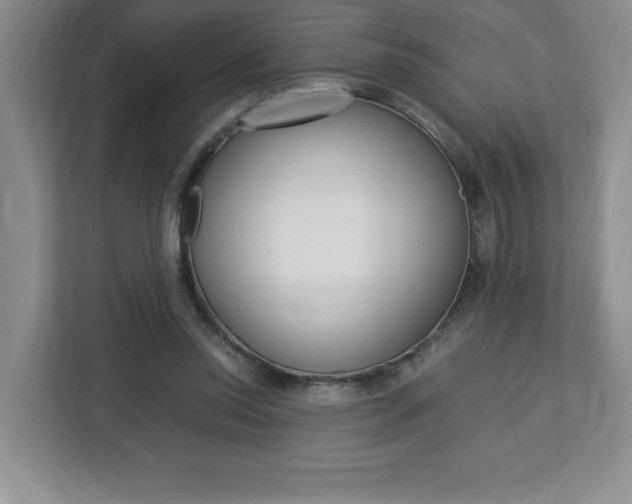 X0000113090350200908281012