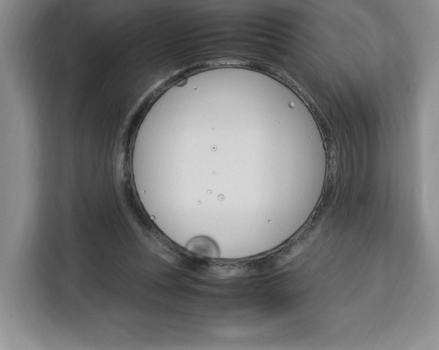 X0000113090351200908281012