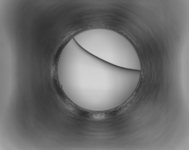 X0000113090355200908281012