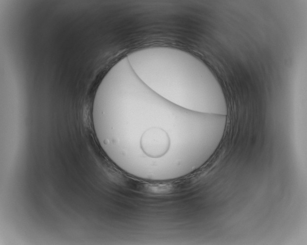 X0000113090359200908281012