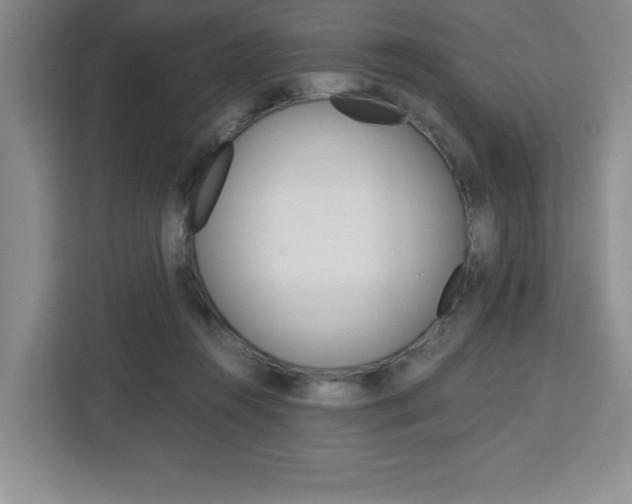 X0000113090360200908281012